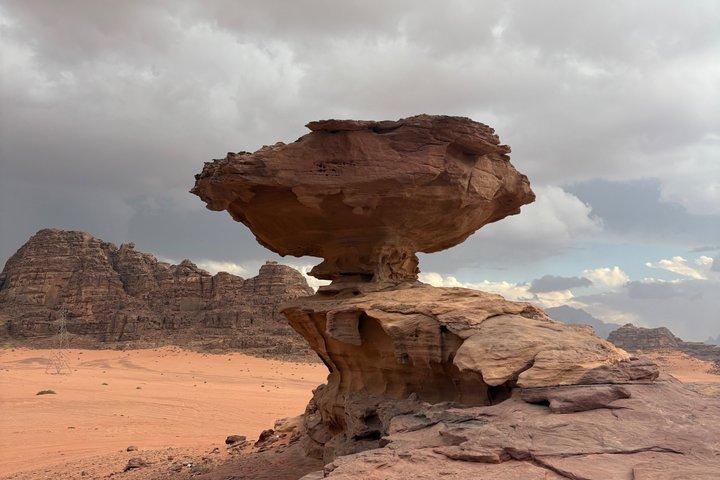 Petra and Wadi Rum Private tour from AMMAN