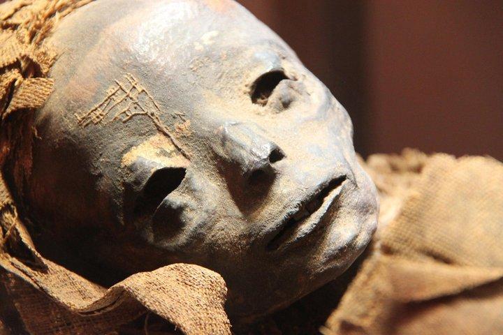 Sharm El Sheikh: Cairo Pyramids, Sphinx & GEM with Private Guide