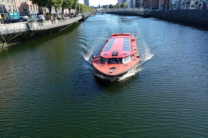 Dublin Private Walking Group Tour: Highlights History Hidden Gems