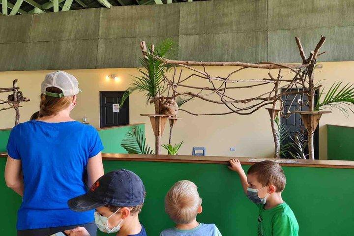 Gamboa Wildlife and Sloth Sanctuary Tour with Pickup