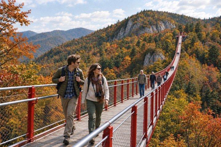 Best DMZ Tour Seoul: Defector Q&A, 3rd Tunnel & Suspension Bridge