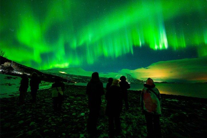 Tromsø Northern Lights Tour with Guaranteed Viewings