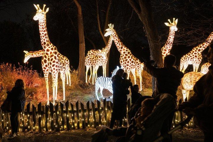 Bronx Zoo Holiday Lights Adgangsbillet