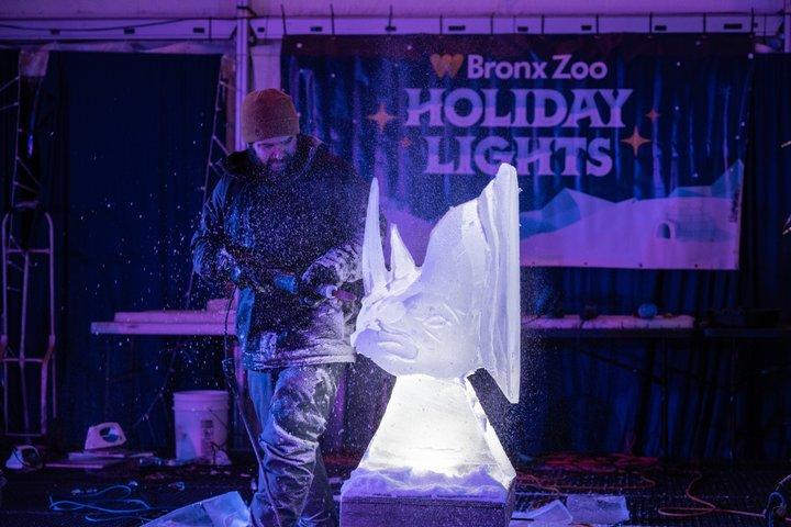 Bronx Zoo Holiday Lights Adgangsbillet