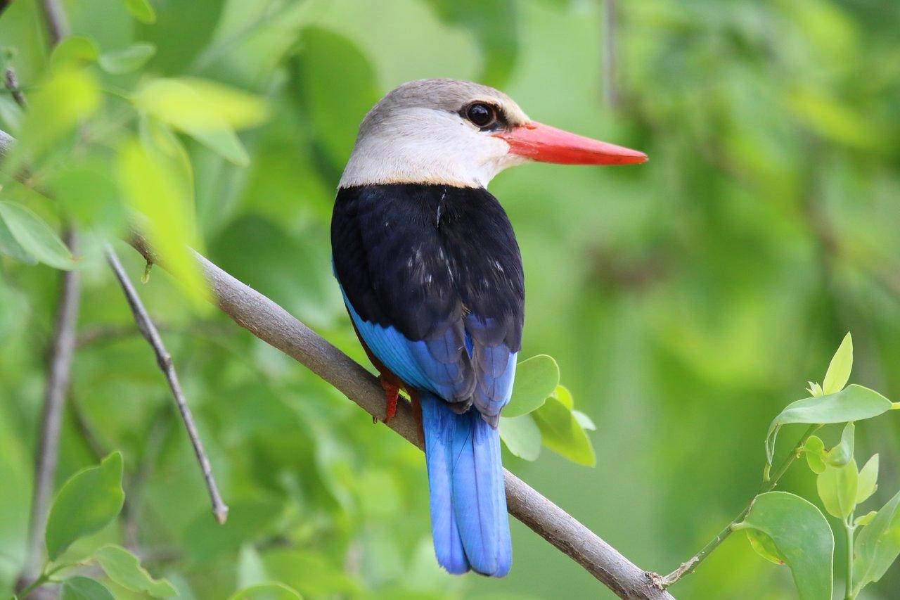 Review photo