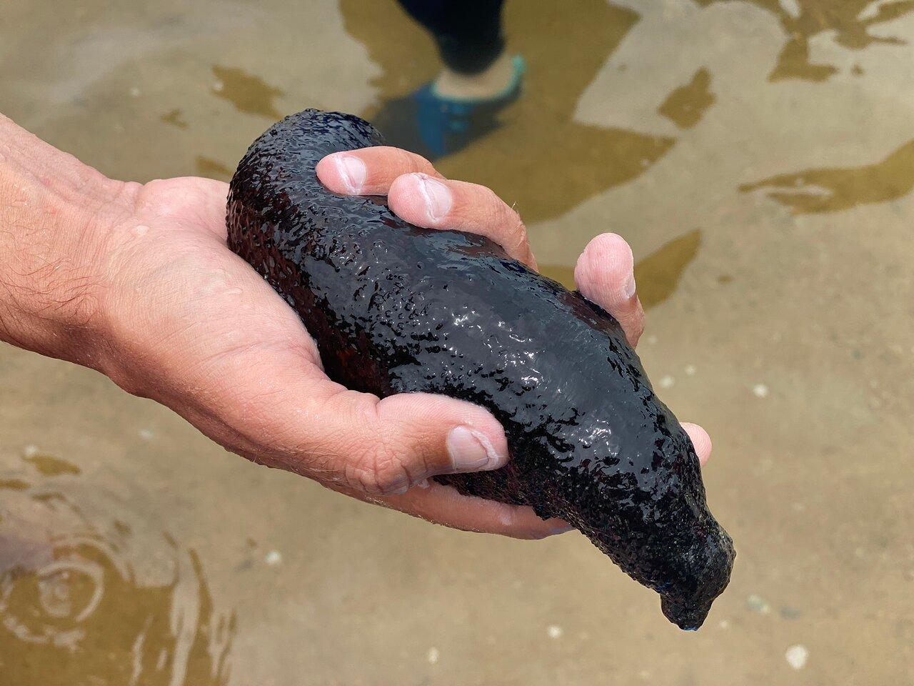 Review photo