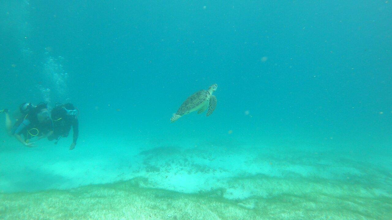 Review photo
