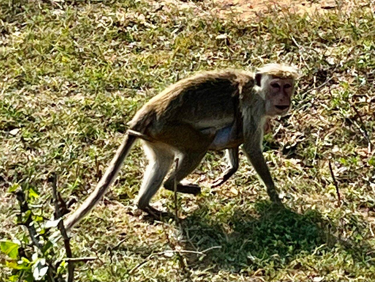 Review photo