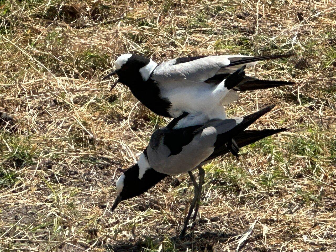 Review photo