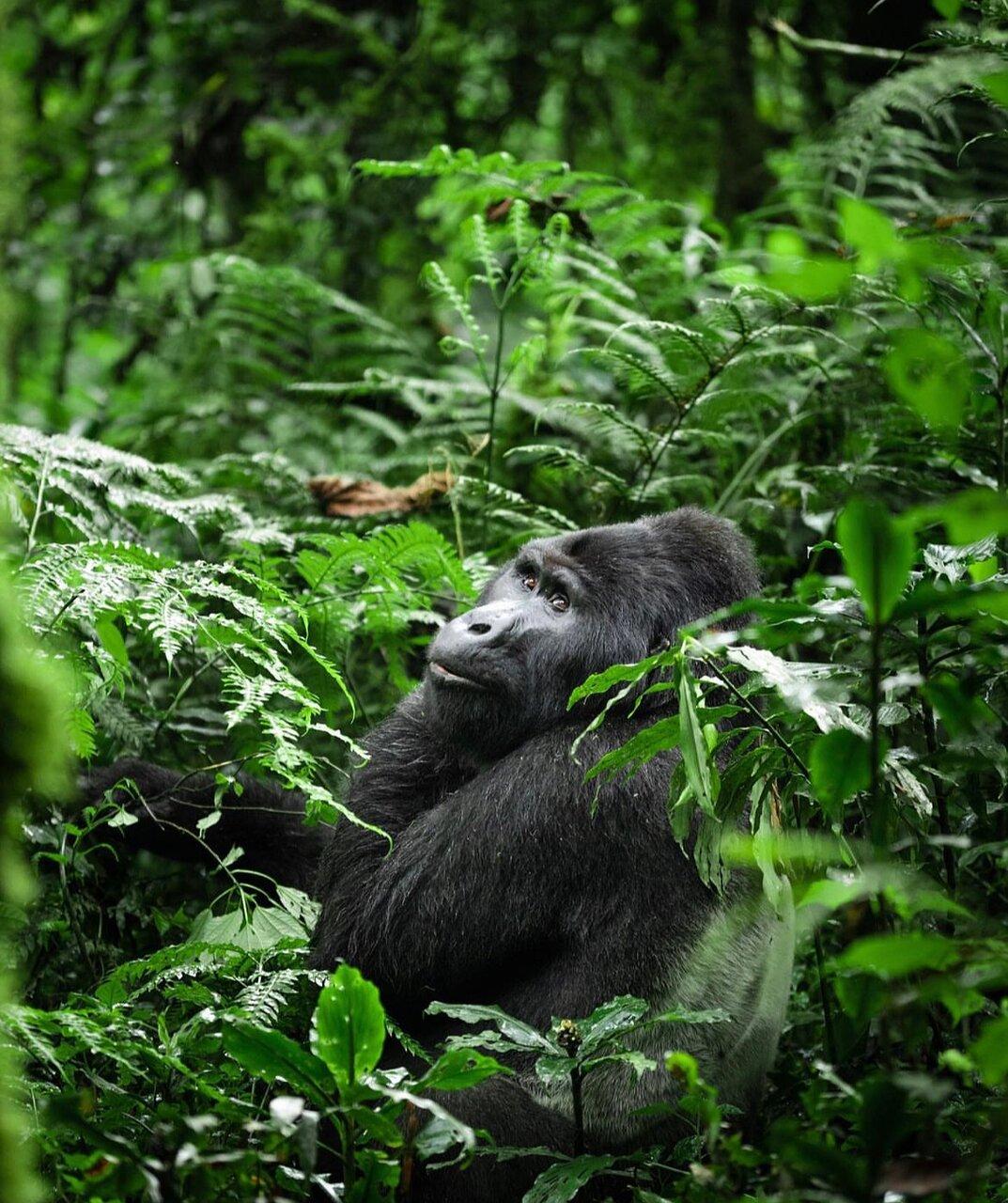 Review photo