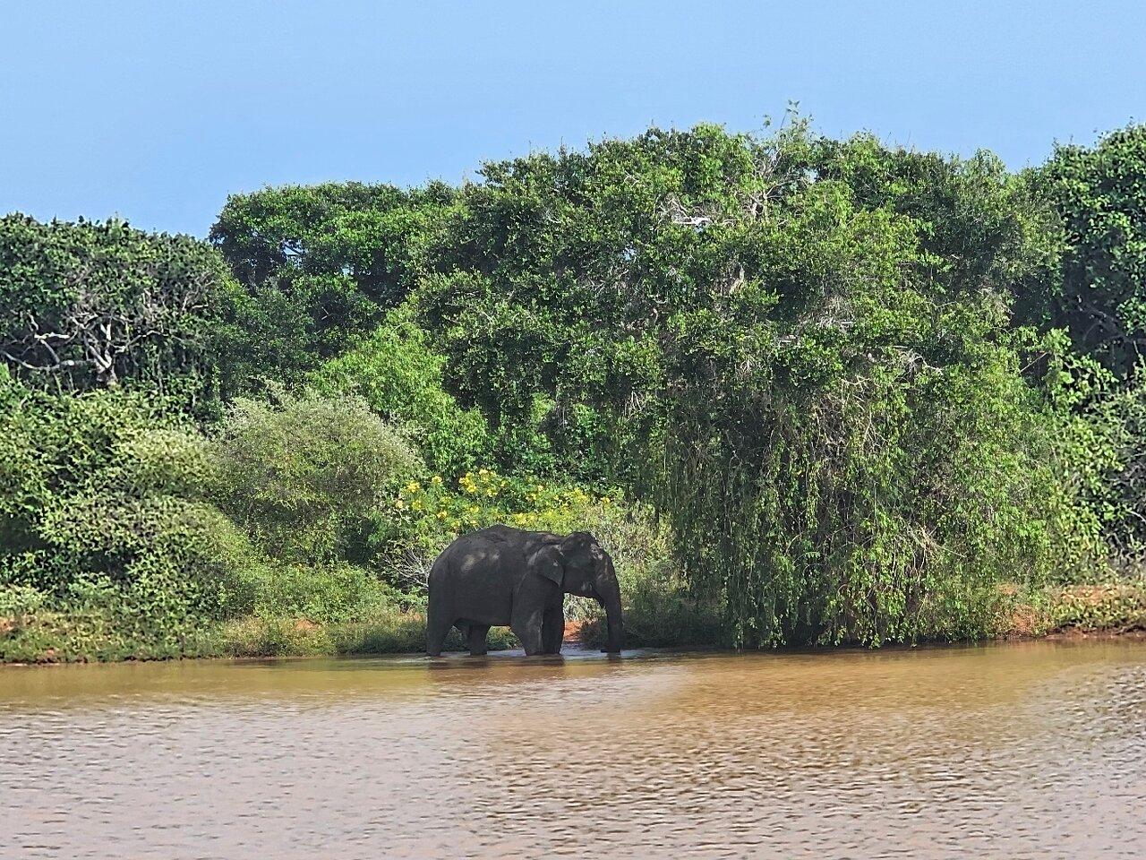 Review photo