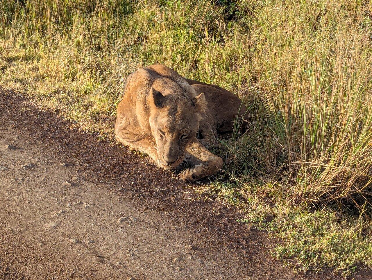 Review photo