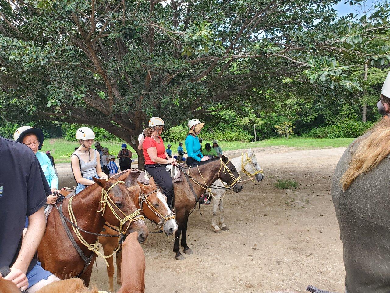 Review photo