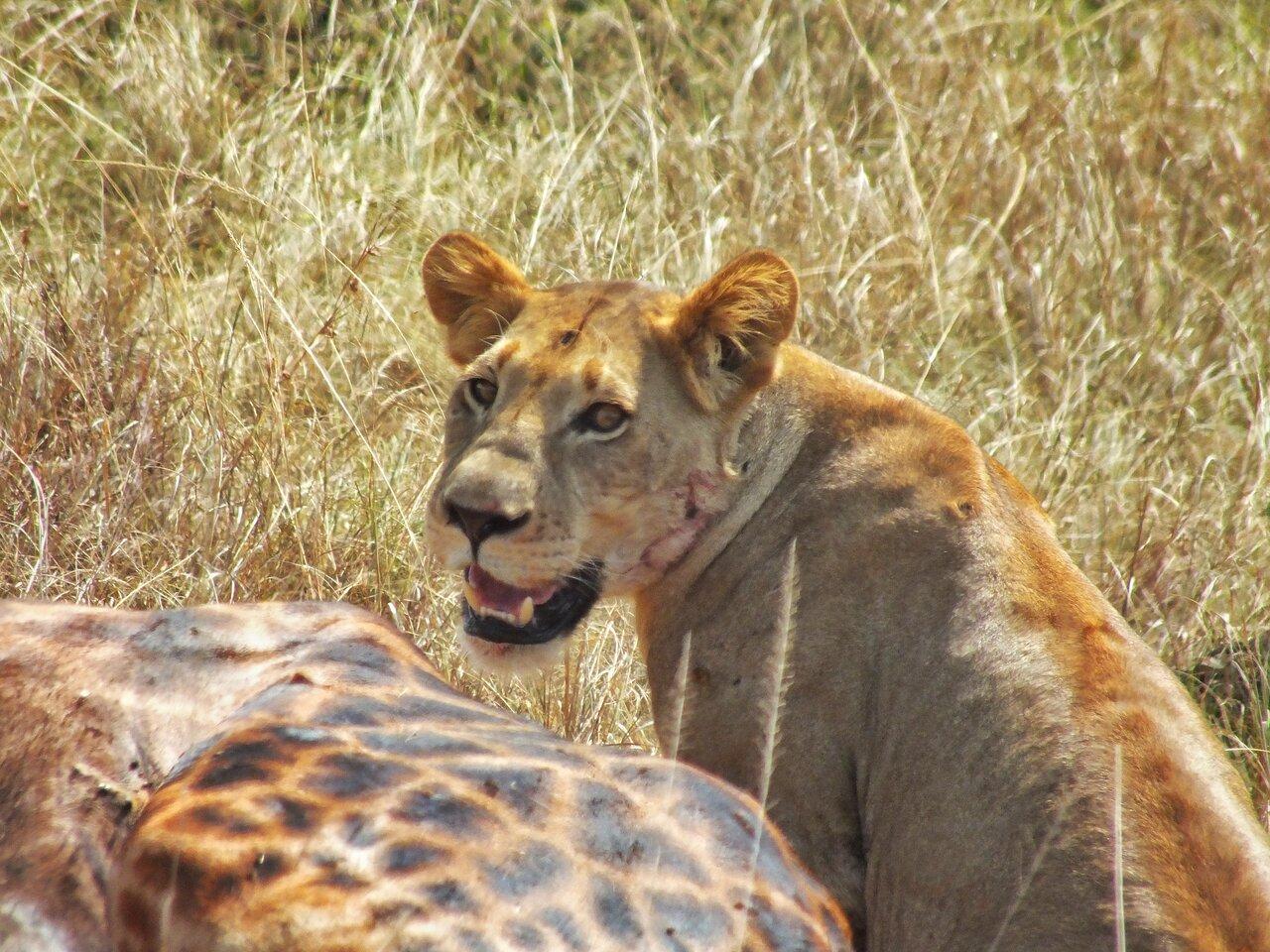 Review photo