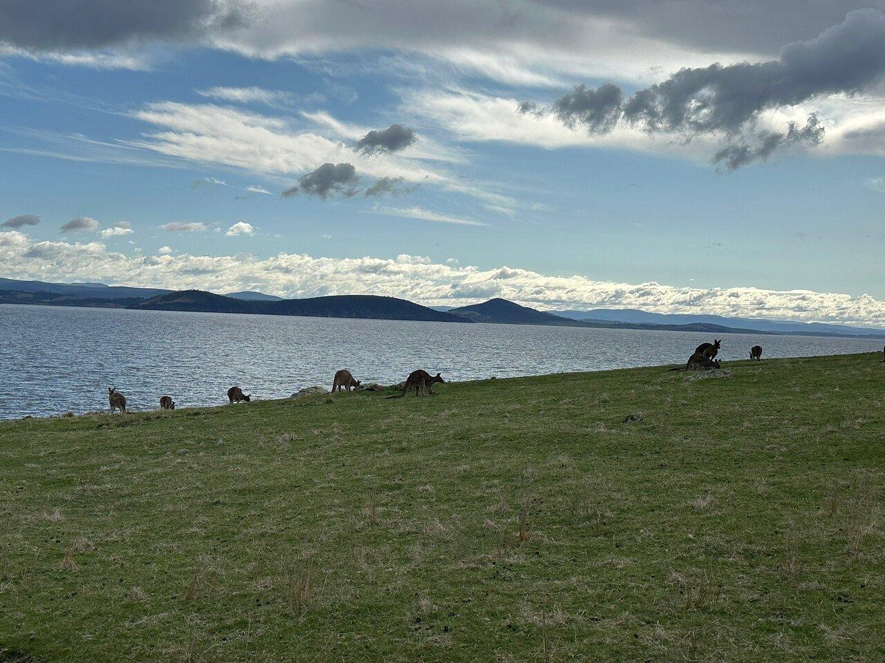 Review photo
