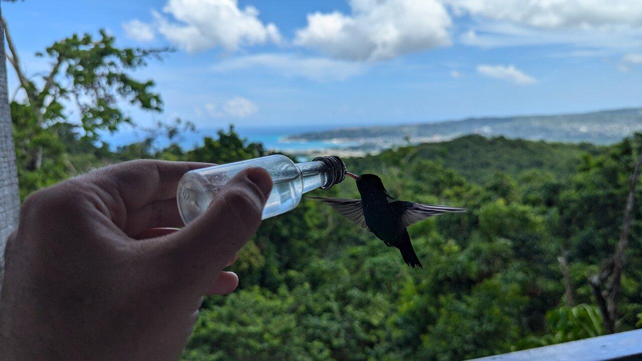 Review photo