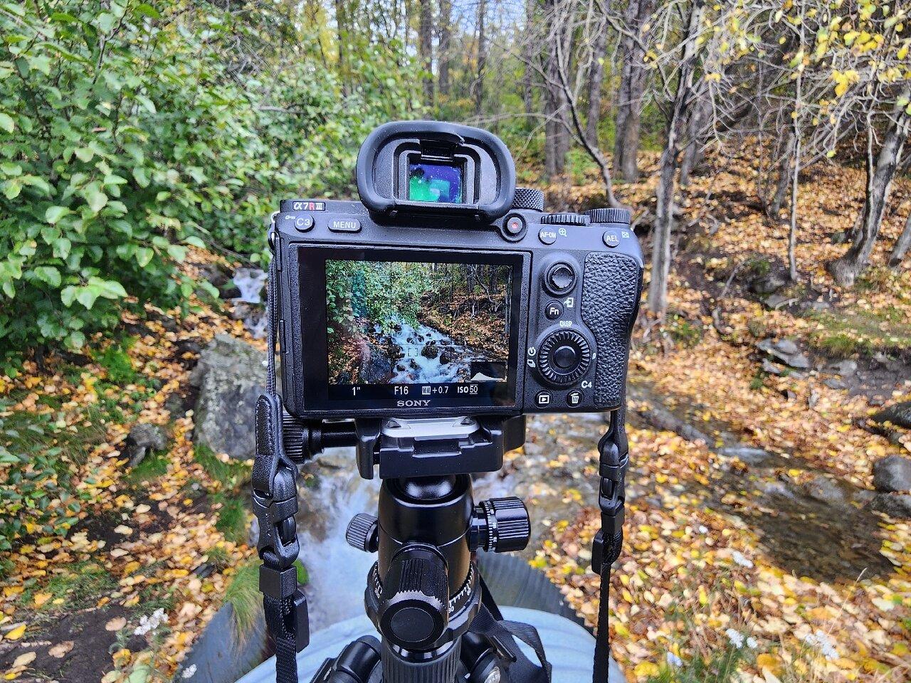 Review photo