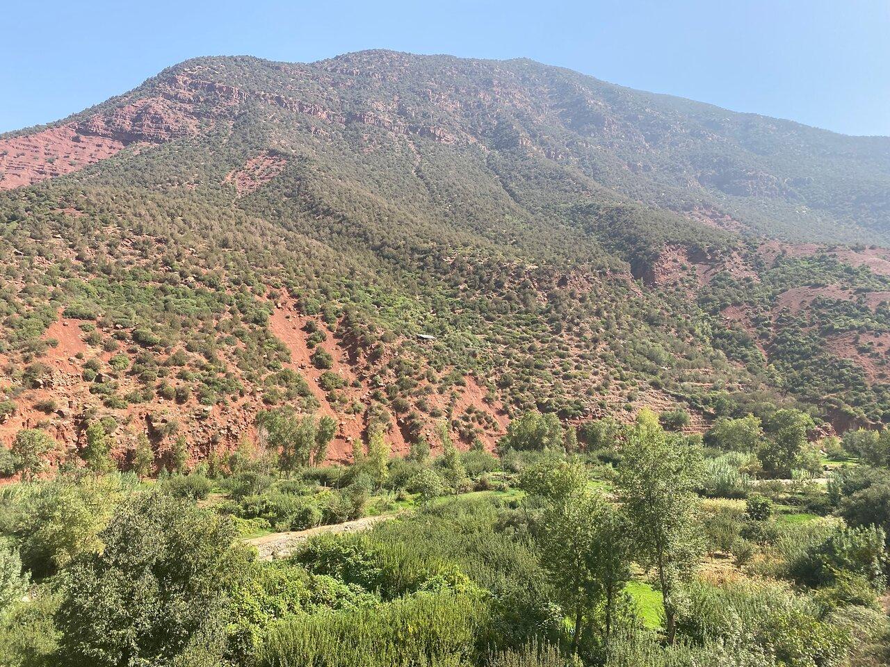 Review photo