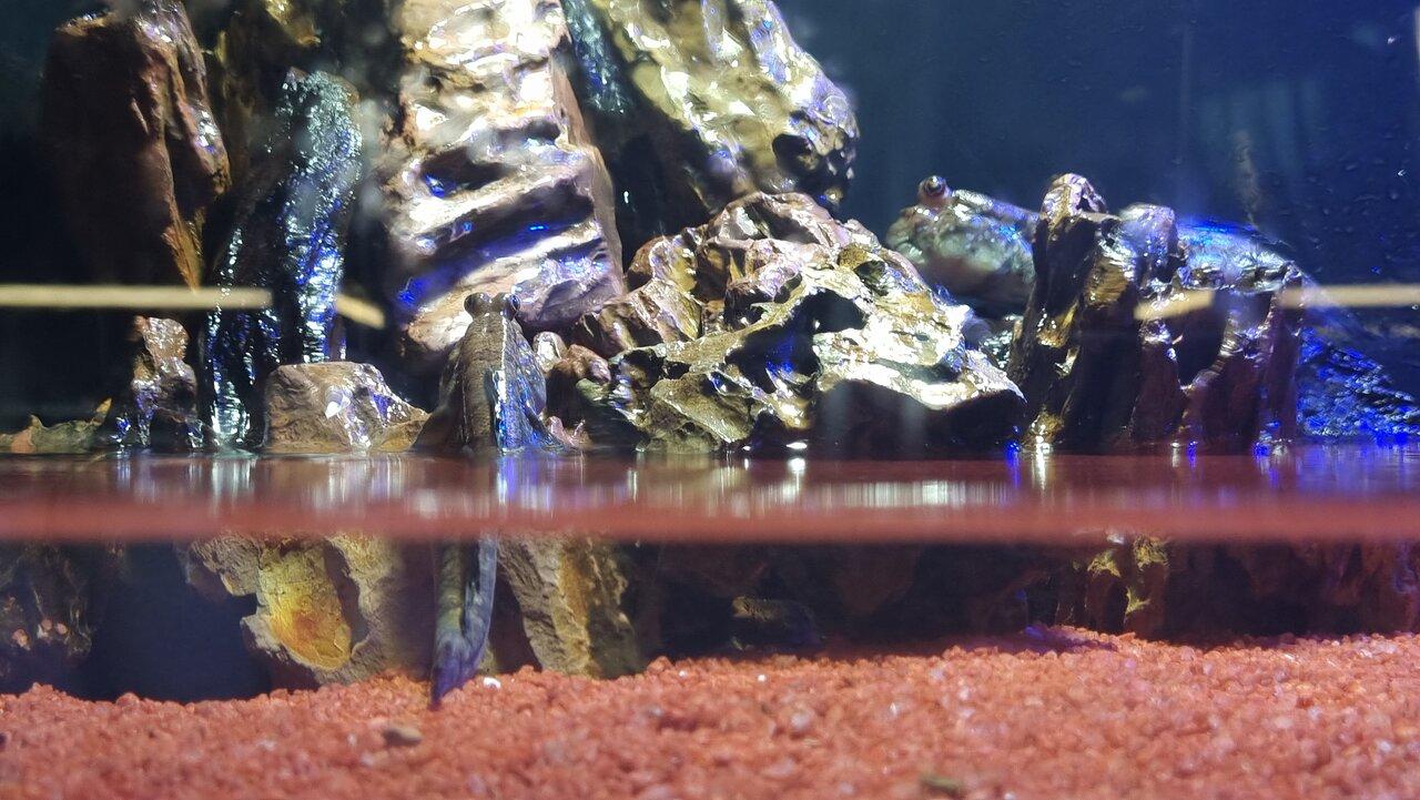 Review photo