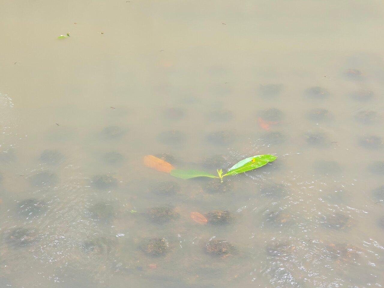 Review photo