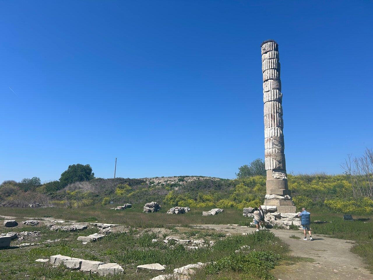 Review photo