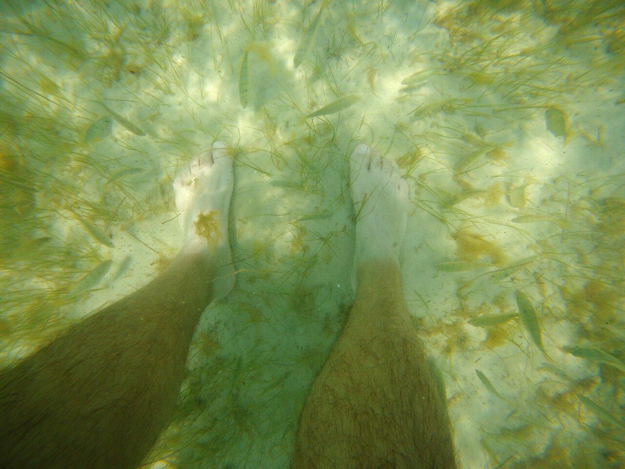 Review photo