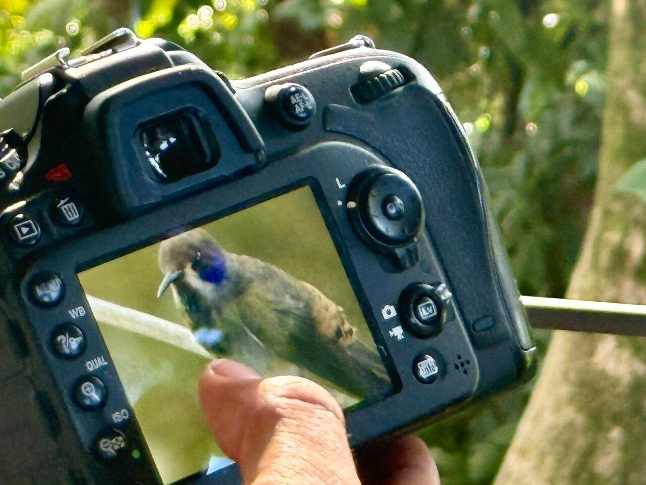 Review photo
