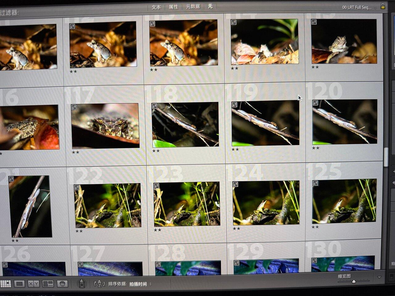 Review photo