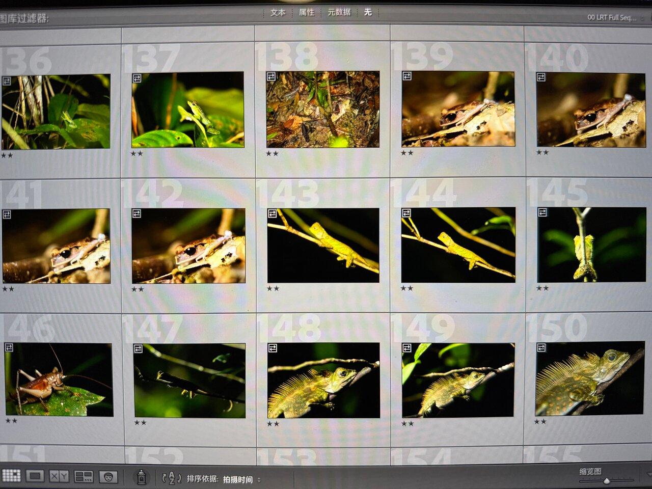 Review photo