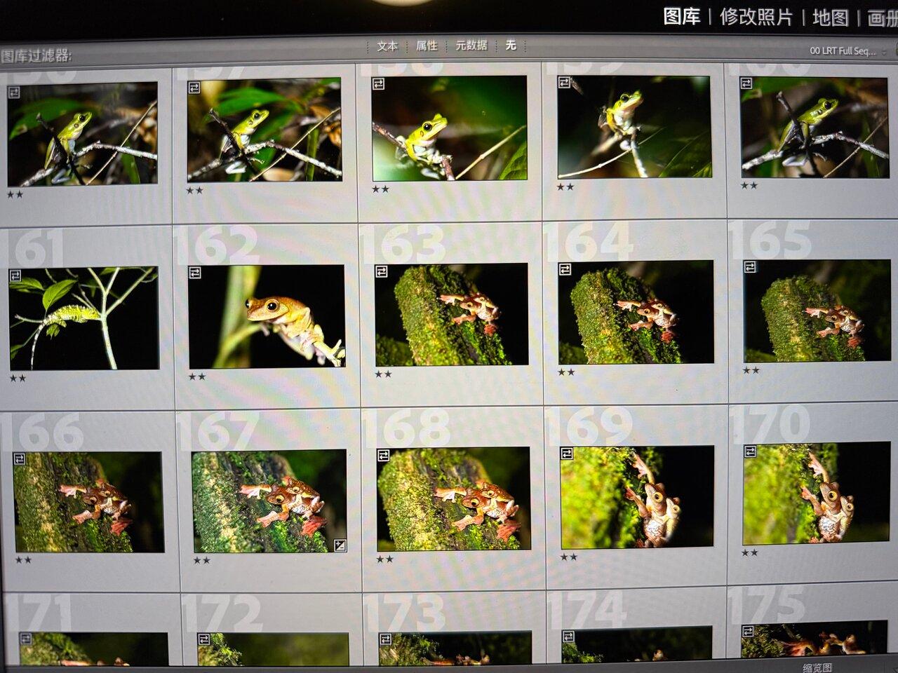 Review photo