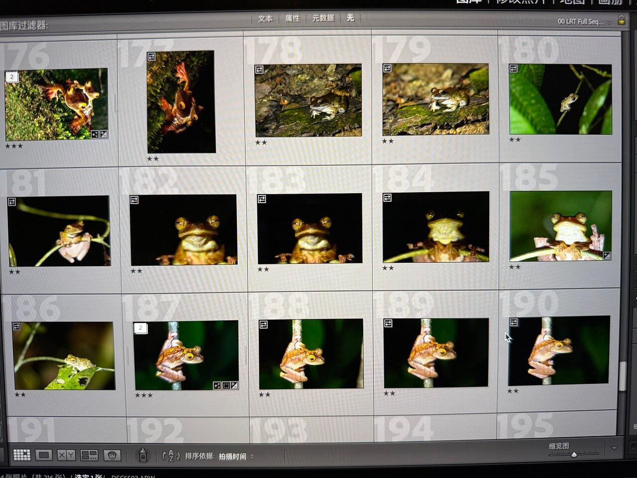 Review photo