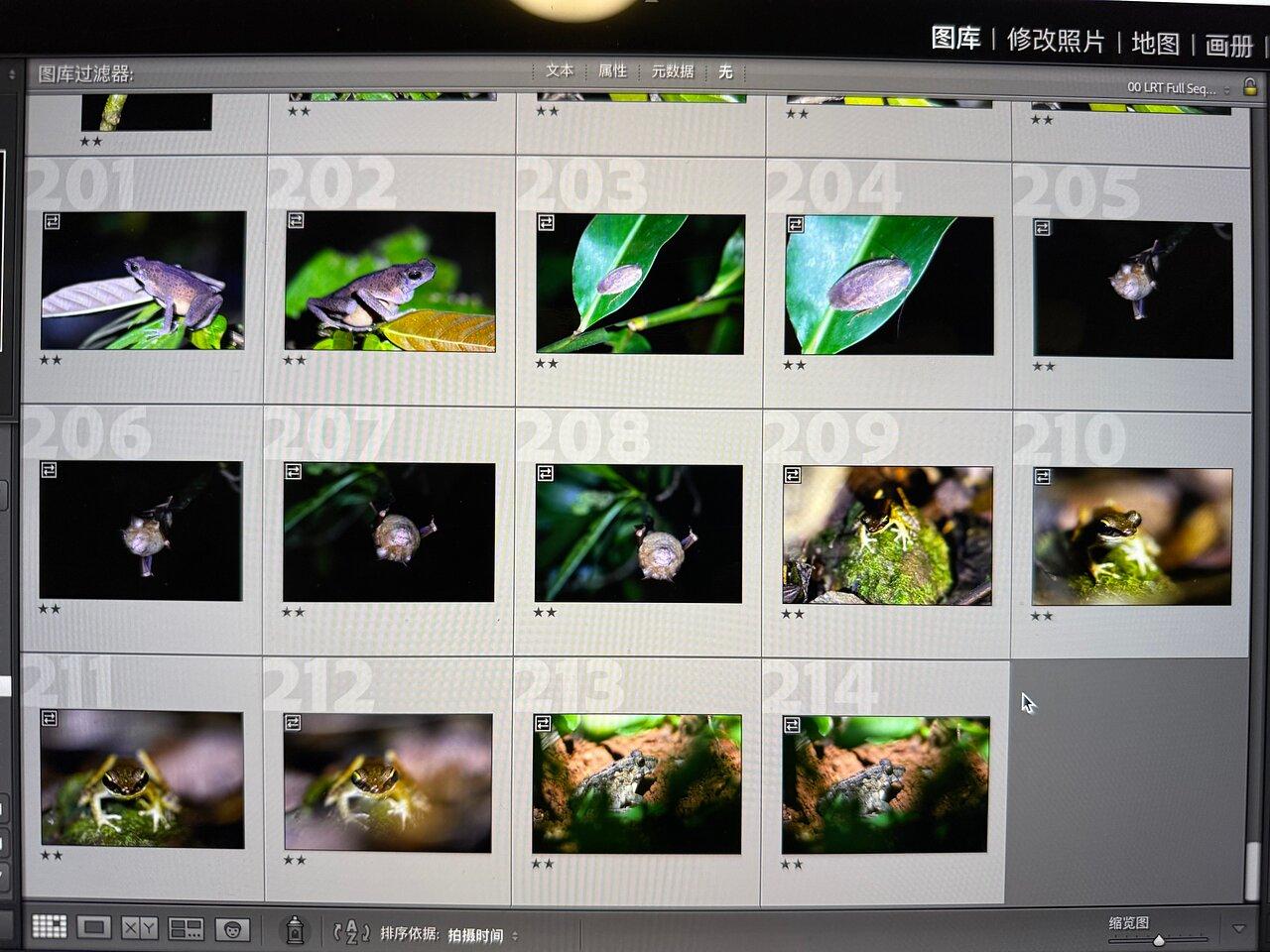 Review photo