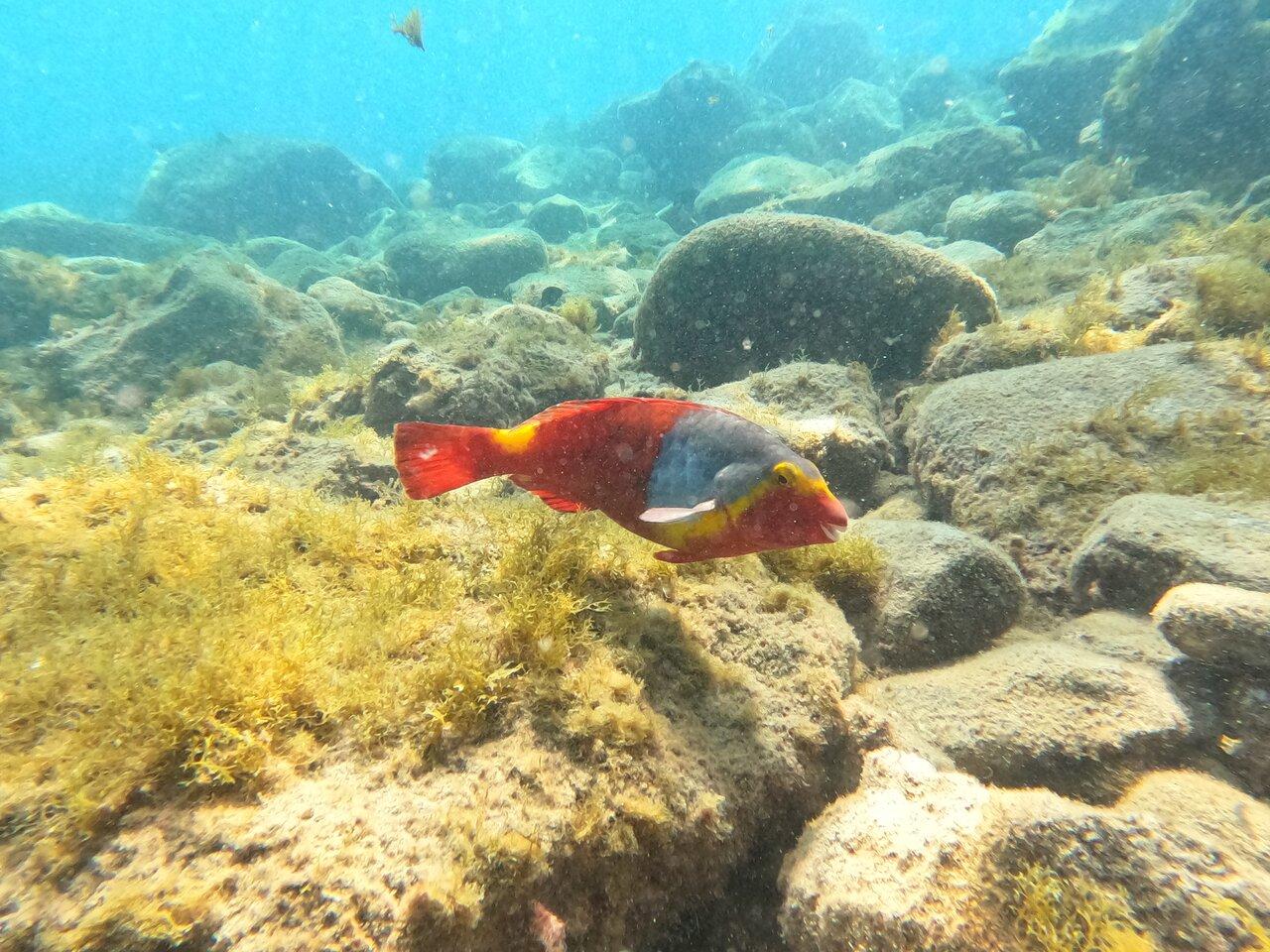 Review photo