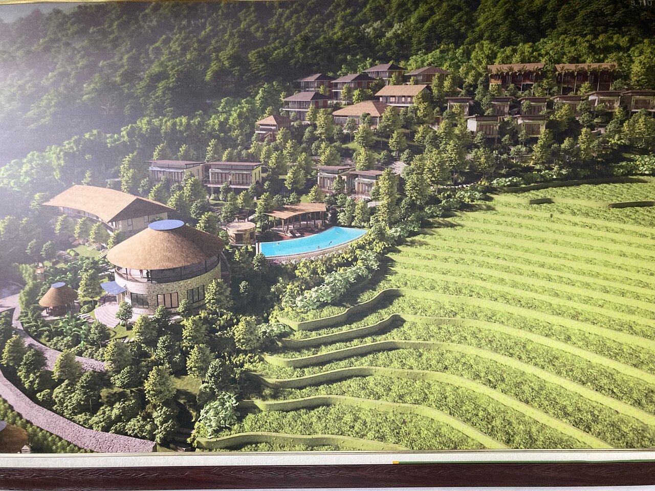 Review photo