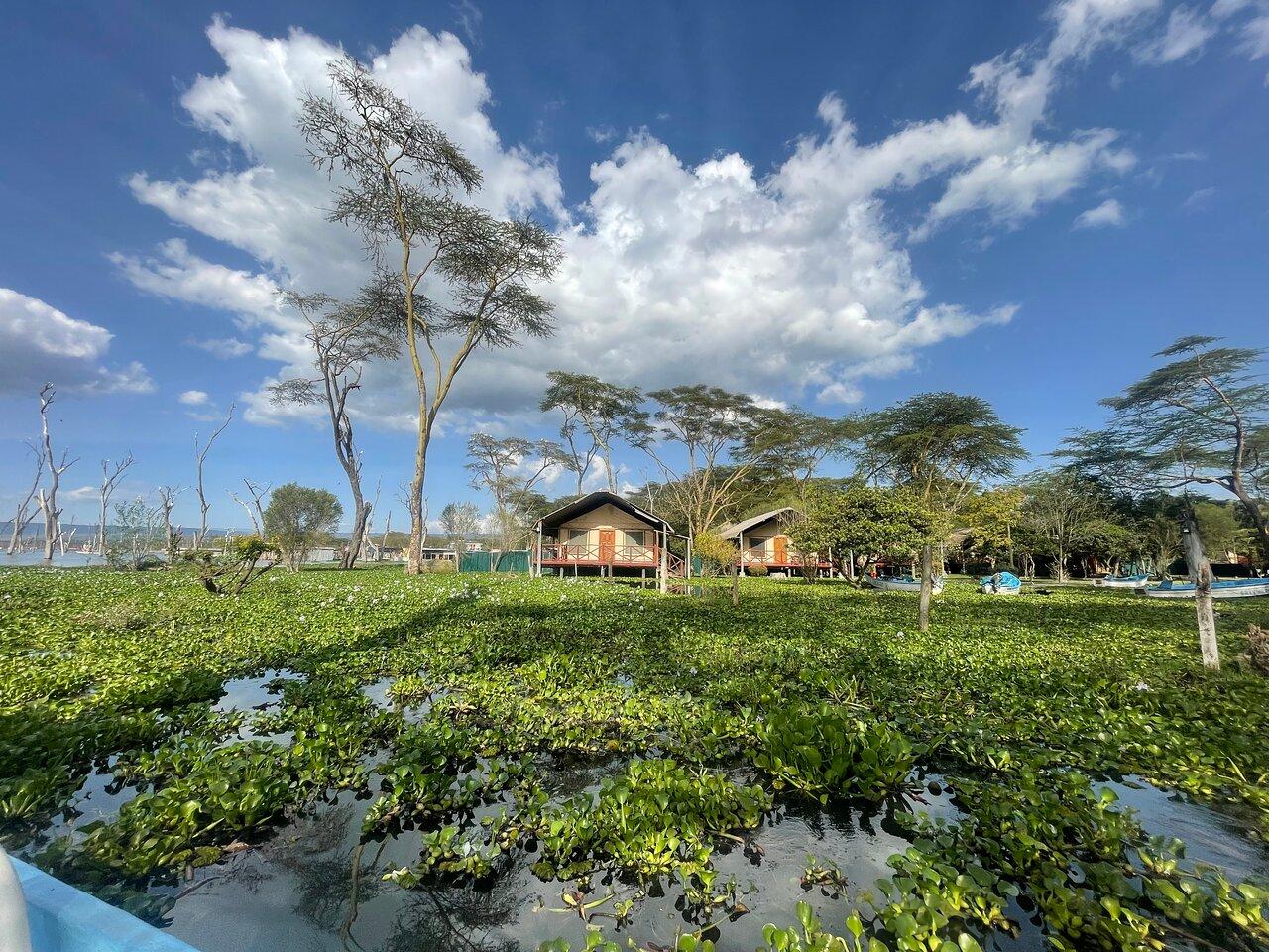 Review photo