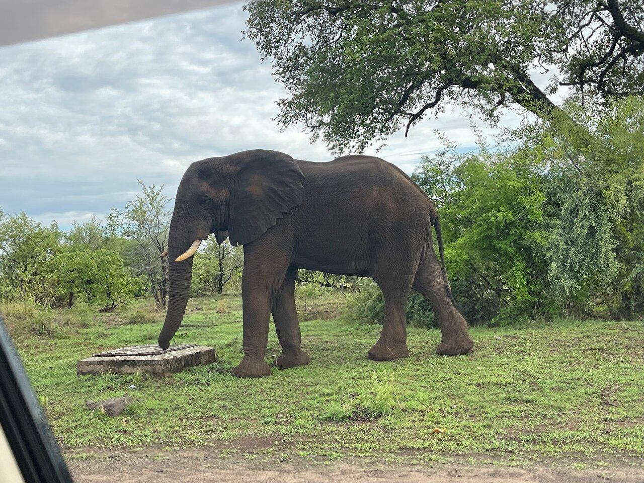 Review photo