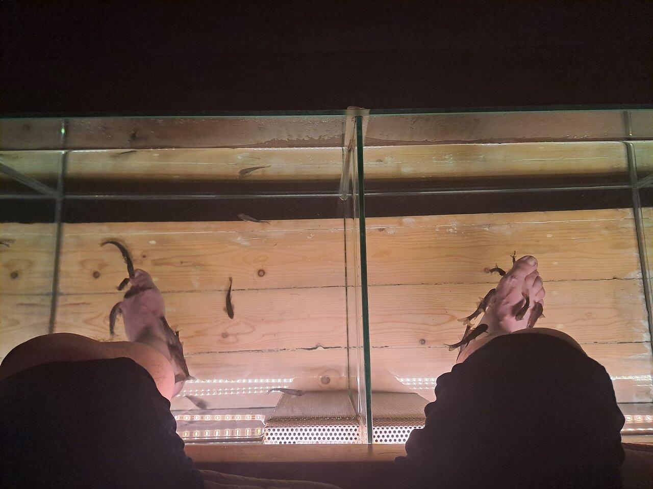 Review photo