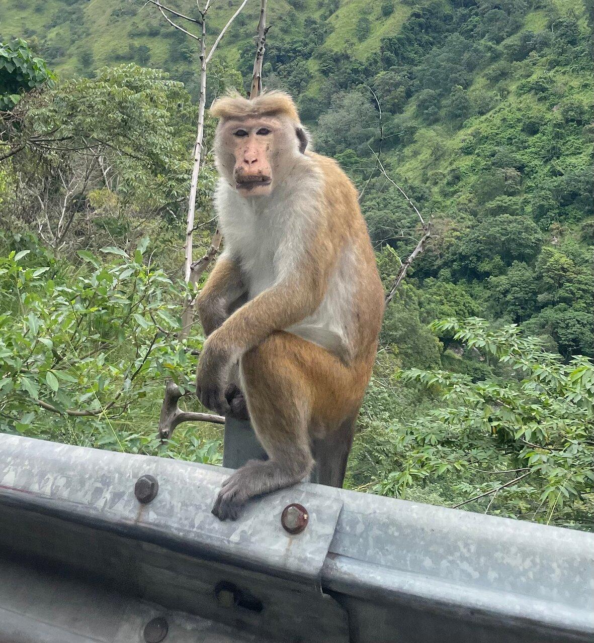 Review photo