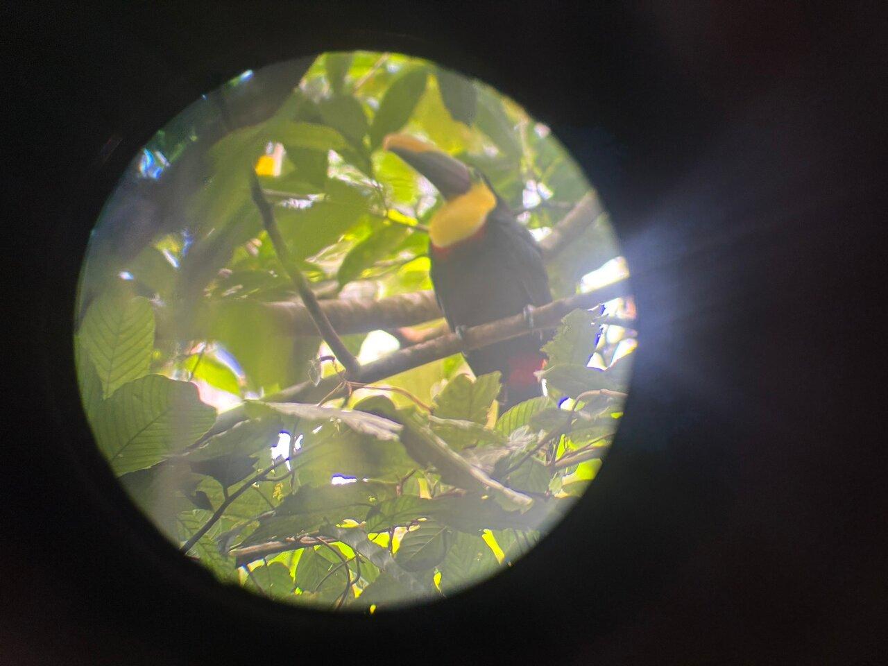 Review photo