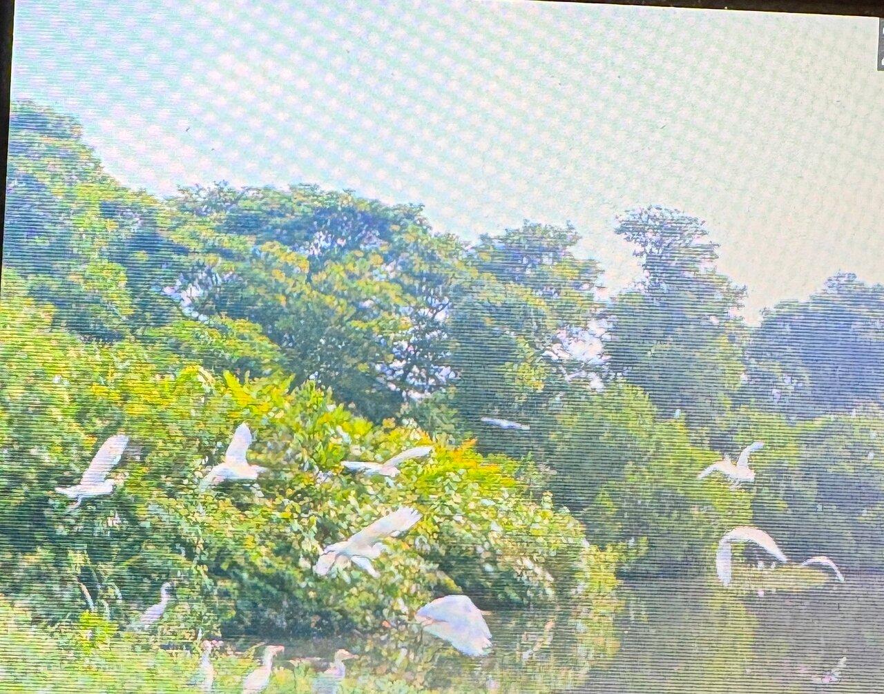 Review photo