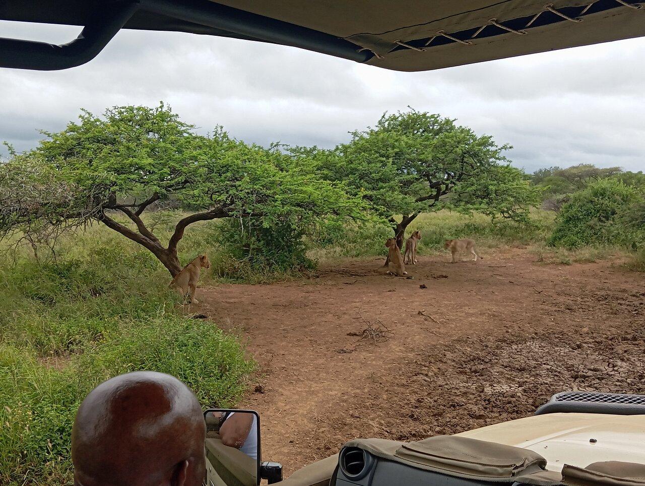 Review photo