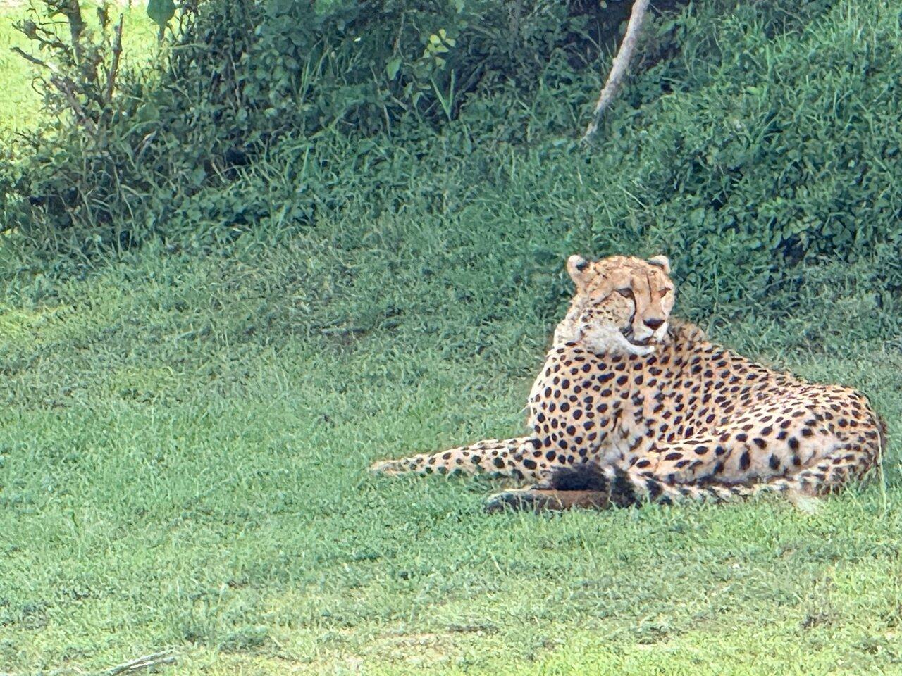 Review photo
