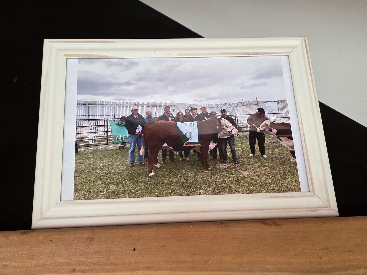 Review photo
