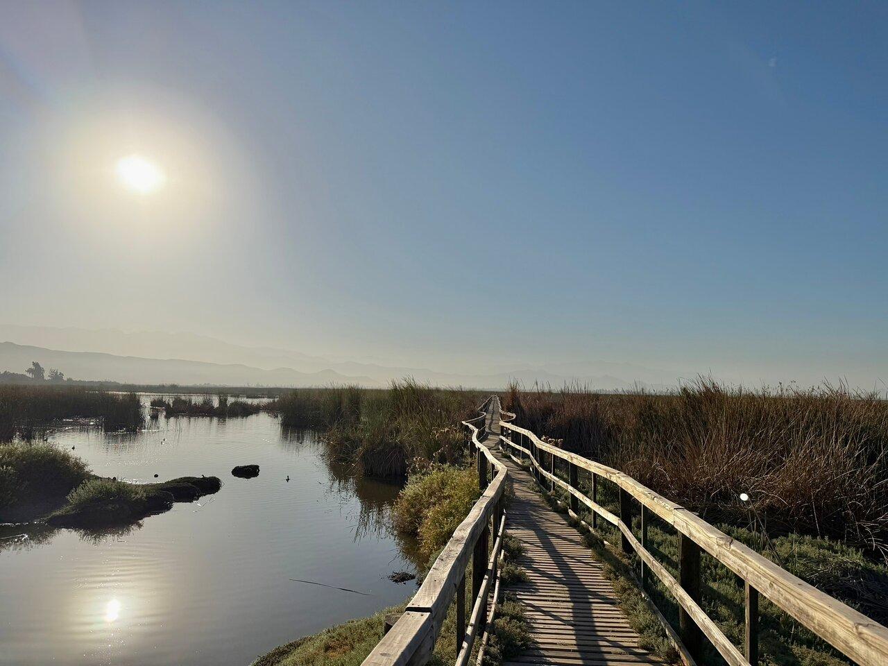 Review photo