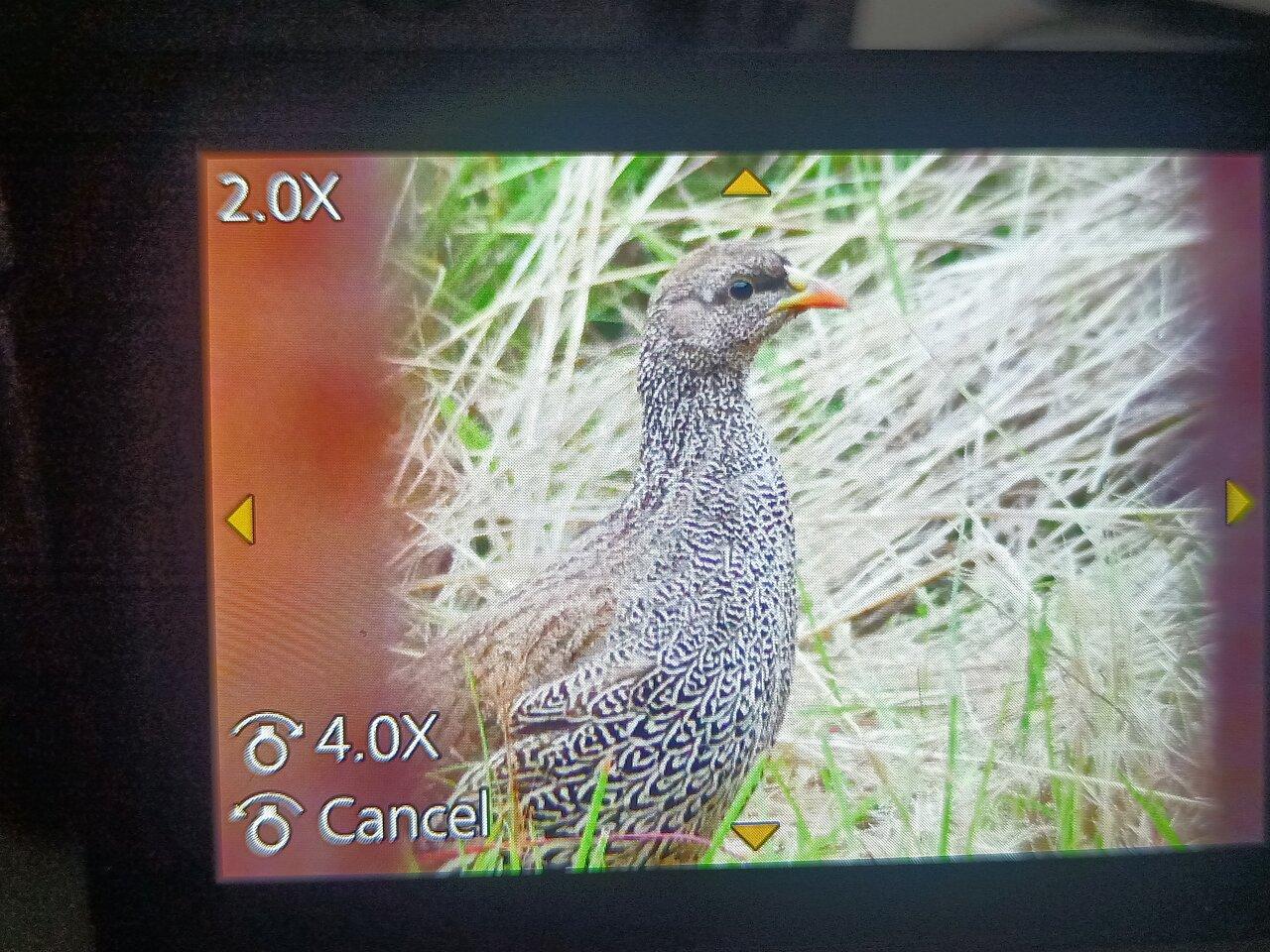 Review photo