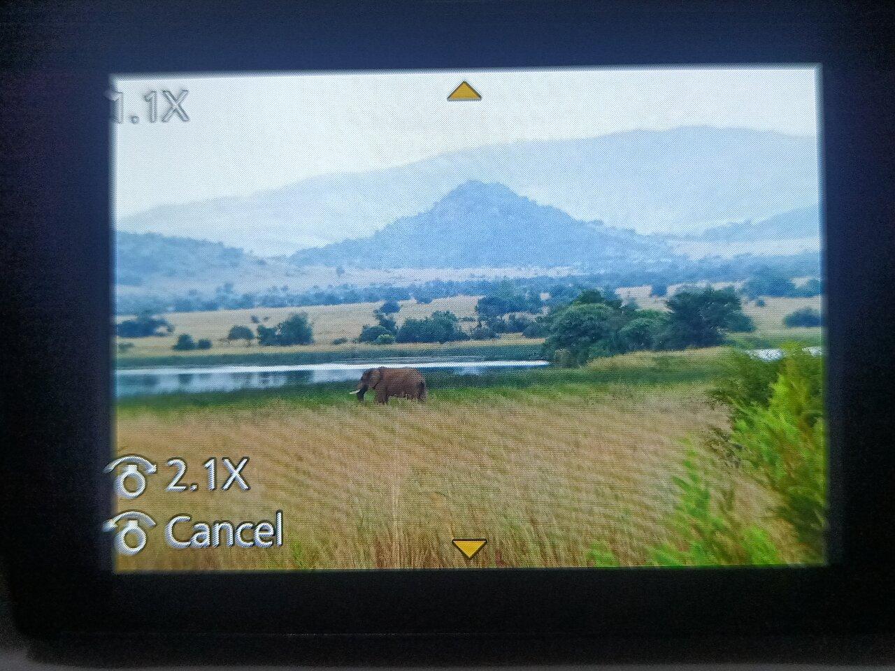 Review photo