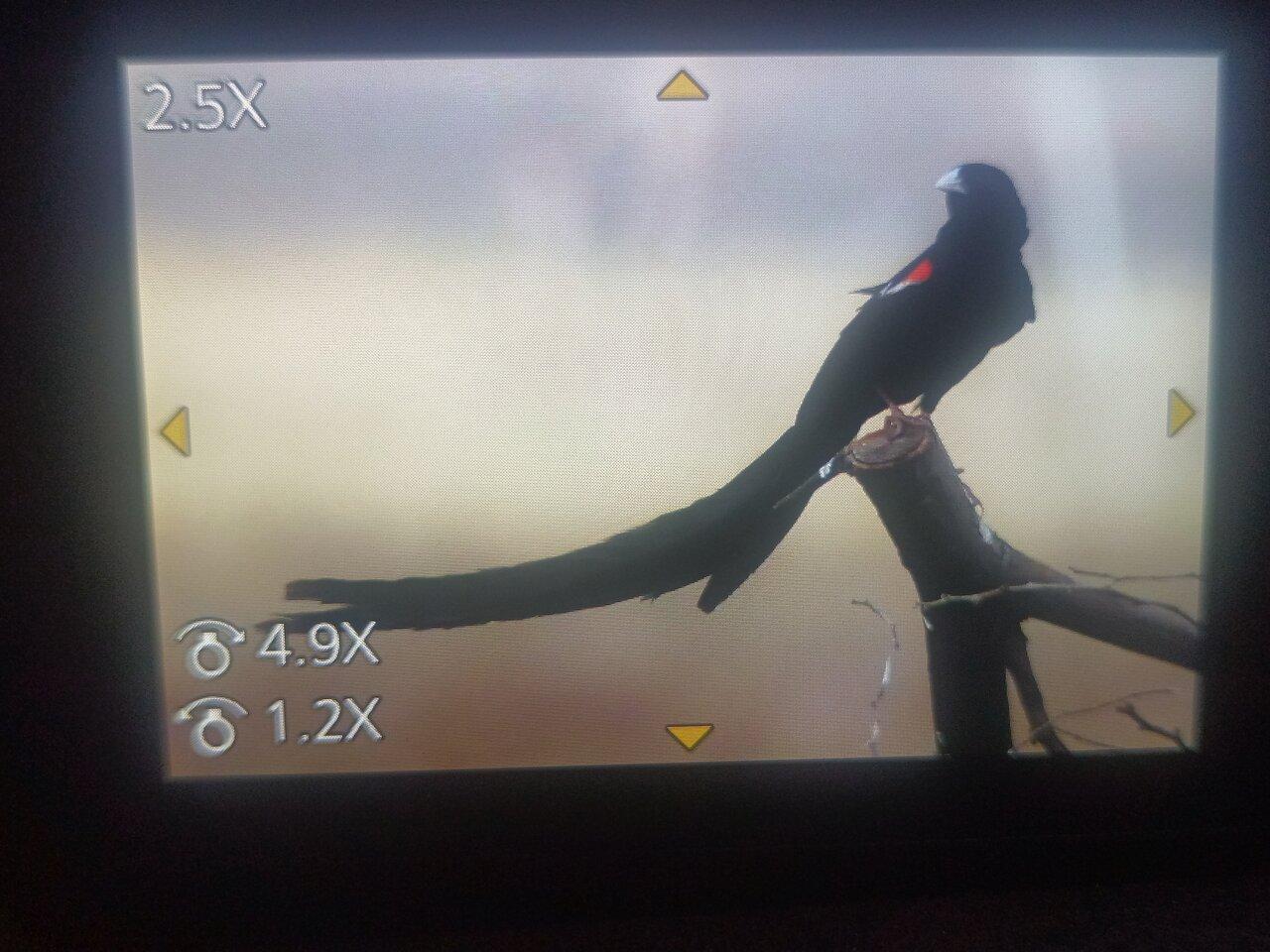 Review photo