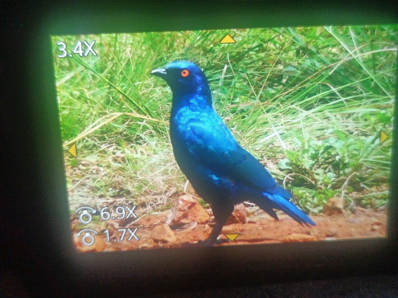 Review photo