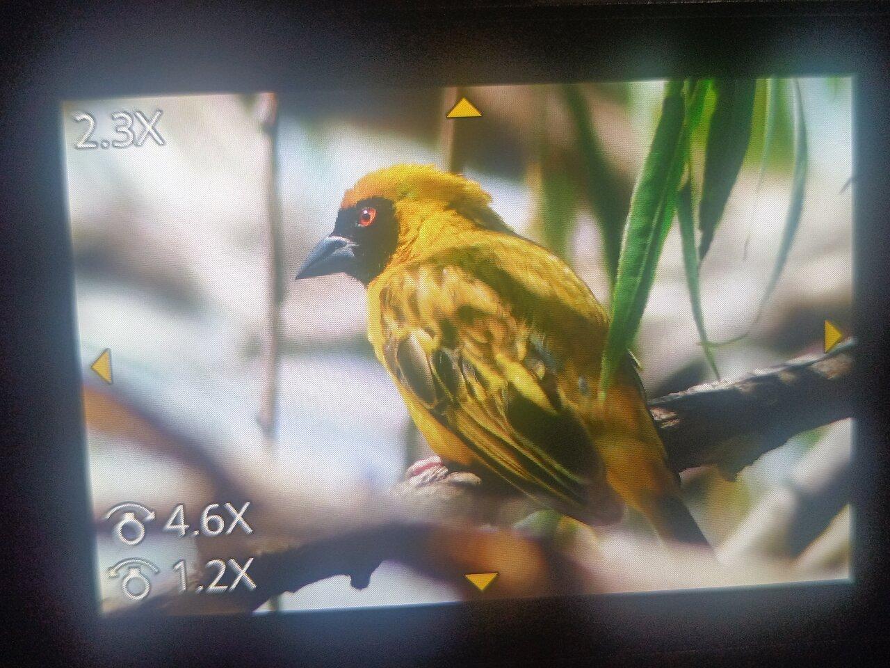 Review photo