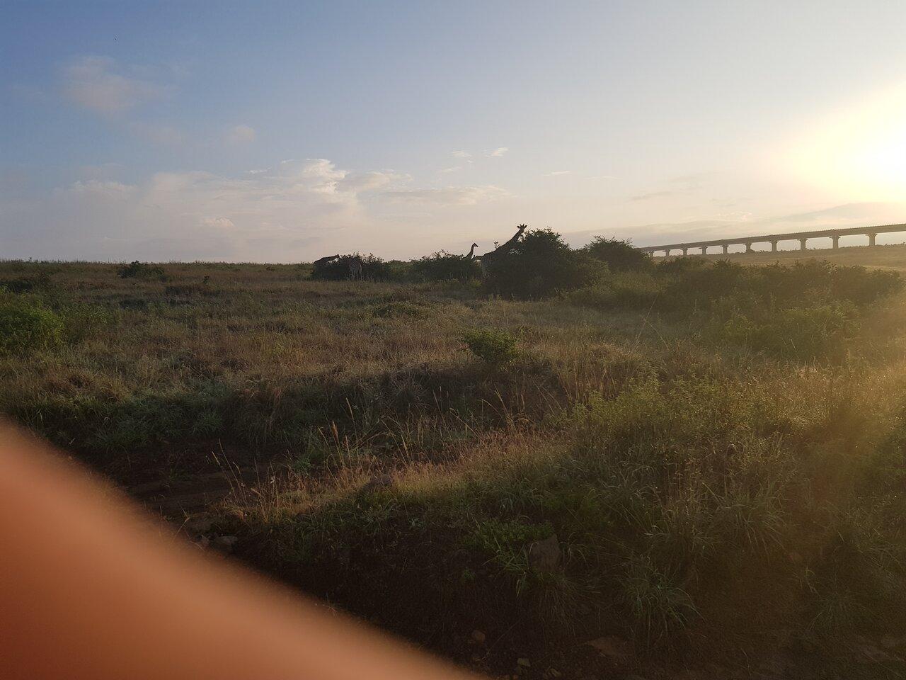 Review photo